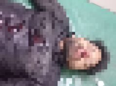 नेशनल हाईवे 130 स्थित में ईंट लोड ट्रैक्टर से बाइक सवार जा टकराया हुई मौत,मृतक की पहचान चरण दास सीतापुर निवासी के रूप में हुई