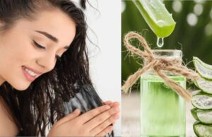 रूखे, बेजान और फ्रिज़ी बालों से हैं परेशान? एलोवेरा के इन आसान घरेलू उपायों से पाएं मुलायम, चमकदार और हेल्दी बाल