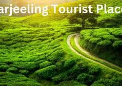 दार्जिलिंग की इन 10 खूबसूरत जगहों पर जरूर जाएं, ट्रिप बन जाएगी यादगार और रोमांचक