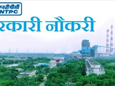 NTPC में 250 पदों पर भर्ती: असिस्टेंट एग्जीक्यूटिव के लिए सुनहरा मौका, जानें योग्यता और आवेदन प्रक्रिया