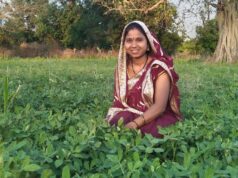 बालको की पहल से मूंगफली बनी किसानों की आय बढ़ाने का सशक्त माध्यम