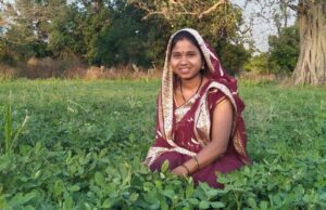 बालको की पहल से मूंगफली बनी किसानों की आय बढ़ाने का सशक्त माध्यम
