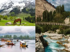 अप्रैल में कश्मीर घूमने का सबसे सही समय: सुहावना मौसम, हरी-भरी वादियां और ट्यूलिप फेस्टिवल की खूबसूरती