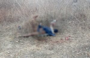महुआ बीन रहे व्यक्ति पर हाथी का हमला, मौके पर मौत