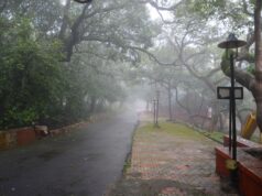 महाबलेश्वर बना पर्यटकों की पहली पसंद, स्ट्रॉबेरी और प्राकृतिक खूबसूरती खींच रही लोगों का ध्यान