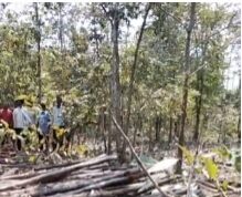 वन विकास निगम अंतागढ़ परियोजना मंडल भानुप्रतापपुर के अधिकारियों से परेशान हाहालद्बी के ग्रामीण