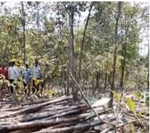 वन विकास निगम अंतागढ़ परियोजना मंडल भानुप्रतापपुर के अधिकारियों से परेशान हाहालद्बी के ग्रामीण
