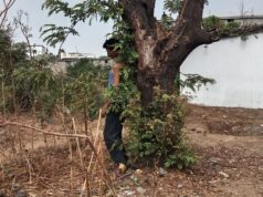 गेवरा बस्ती में युवक ने फांसी लगाकर की आत्महत्या, घरेलू विवाद की आशंका