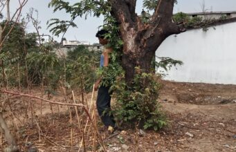 गेवरा बस्ती में युवक ने फांसी लगाकर की आत्महत्या, घरेलू विवाद की आशंका