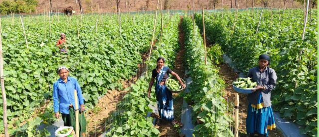 WhatsApp Image 2026-04-10 at 5.50.59 PM