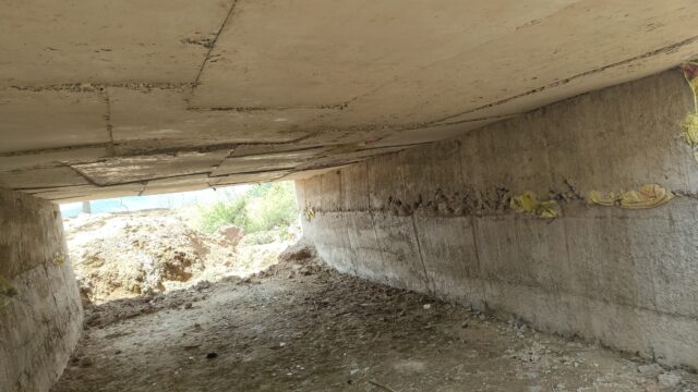 WhatsApp Image 2026-04-11 at 3.12.00 PM