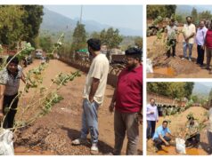 “जहां सड़क डूब जाए… वहां पेड़ उगाने पड़ते हैं”