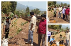 “जहां सड़क डूब जाए… वहां पेड़ उगाने पड़ते हैं”