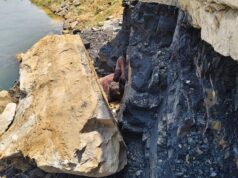 अवैध कोयला खनन के दौरान पत्थर में दबने से ग्रामीण की मौत, दुर्गंध आने पर घटना की हुई जानकारी