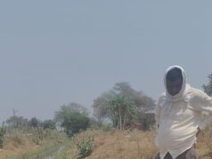 पार्षद राज कुमार सिंह की तत्परता से अकलतरा वार्ड 20 में जल संकट दूर ; नहर से छोड़ा गया पानी, तालाब भरा