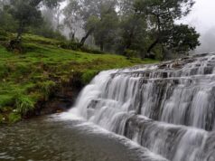 गर्मियों में घूमने वालों के लिए परफेक्ट डेस्टिनेशन बना ‘कोडाइकनाल’, ठंडी हवाओं और झीलों ने बढ़ाया टूरिज्म का क्रेज