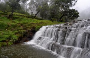 गर्मियों में घूमने वालों के लिए परफेक्ट डेस्टिनेशन बना ‘कोडाइकनाल’, ठंडी हवाओं और झीलों ने बढ़ाया टूरिज्म का क्रेज