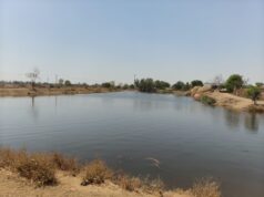 नहर से तालाबों में जलभराव शुरू, निस्तारी क़ी समस्या होगी दूर: कुल 319 तालाबों में से 21 में जलभराव पूर्ण