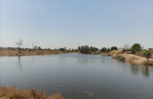 नहर से तालाबों में जलभराव शुरू, निस्तारी क़ी समस्या होगी दूर: कुल 319 तालाबों में से 21 में जलभराव पूर्ण
