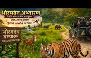 भोरमदेव अभयारण्य में जंगल सफारी की शुरुआत: प्रकृति, रोमांच और वन्यजीवों के बीच अनोखा पर्यटन अनुभव