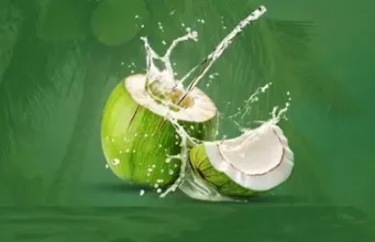 भीषण गर्मी में नारियल पानी है अमृत समान, शरीर को रखे हाइड्रेट और दिलाए तुरंत एनर्जी