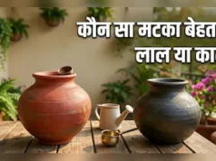 काला बनाम लाल मटका: किसमें पानी ज्यादा ठंडा रहता है और क्यों?
