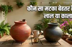 काला बनाम लाल मटका: किसमें पानी ज्यादा ठंडा रहता है और क्यों?