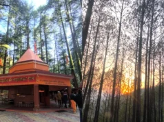ताड़केश्वर महादेव मंदिर : देवदार के घने जंगलों के बीच बसा शांत और दिव्य शिवधाम, प्रकृति प्रेमियों के लिए परफेक्ट डेस्टिनेशन