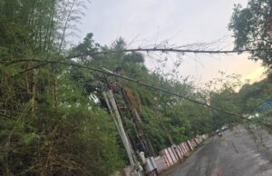 आंधी ने हवा में उड़ा दिए विद्युत कंपनी के सारे दावे