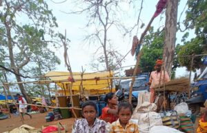 लाजवाब और सेहत के लिए मुफीद है बस्तर की कोलियारी भाजी