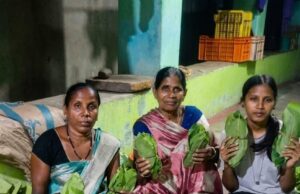 हरा सोना’ बना रामपुर की समृद्धि का आधार, शासन की योजना से कारी बाई और खेमबाई को मिला प्रत्यक्ष लाभ