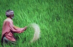 खाद वितरण के लिए राज्य शासन ने जारी किए दिशा-निर्देश