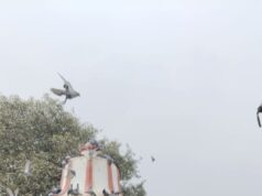 क्षेत्र क्रमांक 21 के जनपद सदस्य फिरंत (पप्पू) राठौर ने उठाई बिजली समस्या की आवाज