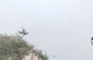 क्षेत्र क्रमांक 21 के जनपद सदस्य फिरंत (पप्पू) राठौर ने उठाई बिजली समस्या की आवाज
