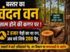 सुरक्षा के नाम पर डकार गए 10 लाख और बचा नहीं पाए बेशकीमती चंदन के पेड़ भी!