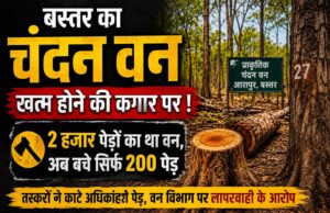 सुरक्षा के नाम पर डकार गए 10 लाख और बचा नहीं पाए बेशकीमती चंदन के पेड़ भी!