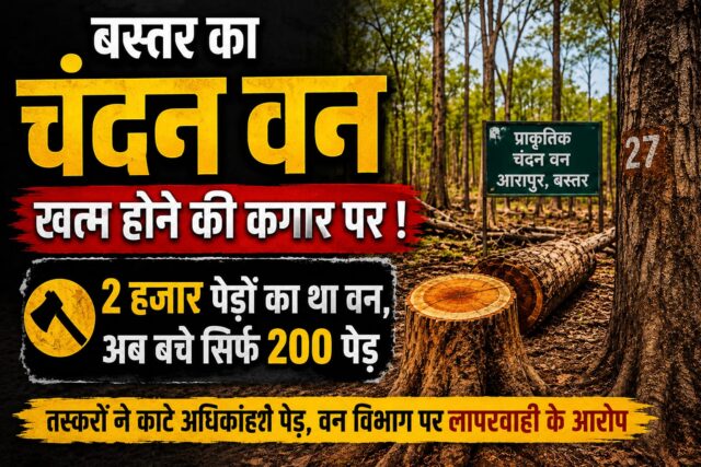 WhatsApp Image 2026-05-25 at 6.13.40 PM
