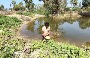 डबरी बनी समृद्धि की राह, मत्स्य पालन और सब्जी उत्पादन से बढ़ी किसान की आय