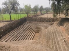 विश्व पर्यावरण दिवस पर जिले में जल संरक्षण, वृक्षारोपण और जनभागीदारी के माध्यम से पर्यावरण संरक्षण का संदेश