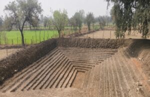 विश्व पर्यावरण दिवस पर जिले में जल संरक्षण, वृक्षारोपण और जनभागीदारी के माध्यम से पर्यावरण संरक्षण का संदेश