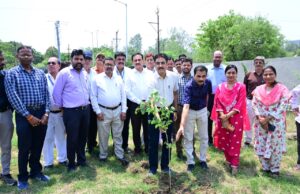 विश्व पर्यावरण दिवस पर संभागायुक्त कार्यालय परिसर में पौधरोपण कमिश्नर ने कचनार का पौधा लगाकर दिया पर्यावरण संवर्धन का संदेश