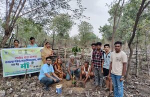 विश्व पर्यावरण दिवस पर कमला नेहरू महाविद्यालय की रासेयो इकाई का पौधारोपण अभियान, पौध संरक्षण की दिलाई शपथ