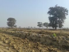 न्याय की जीत: चपरीद कोटवार को पद से पृथक करने के फैसले से ग्रामीणों और किसानों में खुशी की लहर