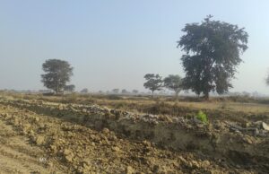 न्याय की जीत: चपरीद कोटवार को पद से पृथक करने के फैसले से ग्रामीणों और किसानों में खुशी की लहर