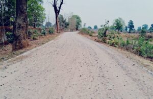 कमीशन खोरी की भेंट चढ़ रहे हैं विकास कार्य, गुणवत्ता हाशिये पर…!!