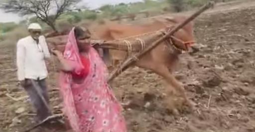 WhatsApp Image 2026-06-12 at 7.23.40 PM