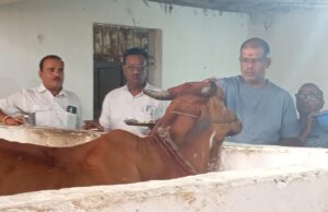 बागेश्वर गौ सेवा धाम ने धूमधाम से मनाया 8वां स्थापना दिवस: गौ माता की महाआरती कर खिलाया छप्पन भोग