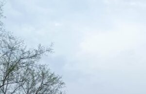 नवापारा खुर्द के पूर्व सचिव नहीं दे रहे वर्तमान पदस्थ सचिव को प्रभार