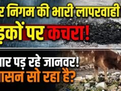 नगर निगम की लापरवाही से राजधानी में बढ़ा बीमारियों का खतरा, नाली से निकाला कचरा सड़कों पर छोड़ा