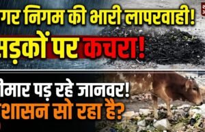 नगर निगम की लापरवाही से राजधानी में बढ़ा बीमारियों का खतरा, नाली से निकाला कचरा सड़कों पर छोड़ा